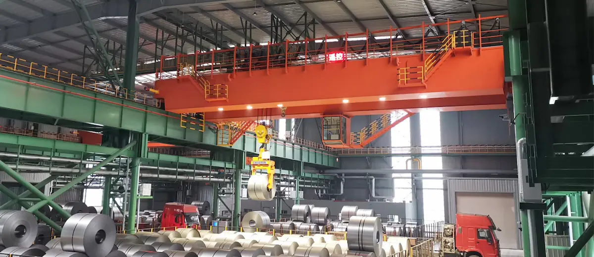 Customized Cranes for Special Process Requirements