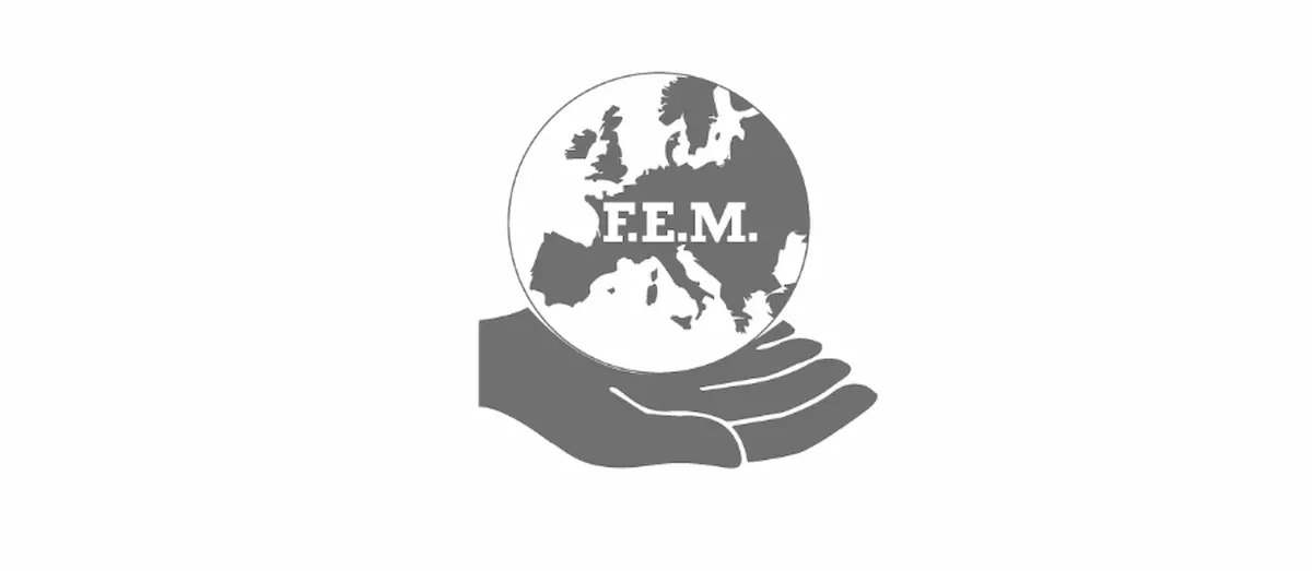 FEM Standard